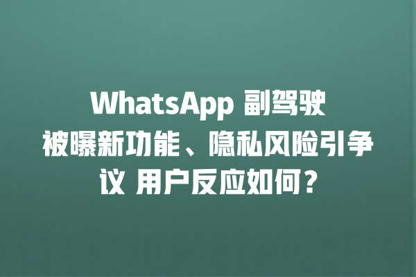 WhatsApp 副驾驶被曝新功能、隐私风险引争议 用户反应如何? 一